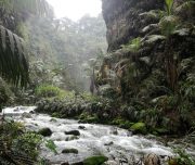 hike waterfall trail costa rica