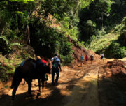 Explore the best trails in Costa Rica